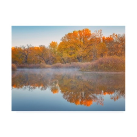 Darren White Photography 'Autumn's Reflection' Canvas Art,14x19